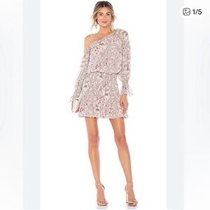 Alexis Asymmetrical Mini Dress 
Printed Royce in Misty Rose